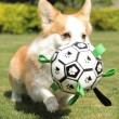 Dog Self Entertaining Soccer Toy