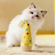 Turkey Feather Tumbler Cat Toy