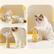Turkey Feather Tumbler Cat Toy