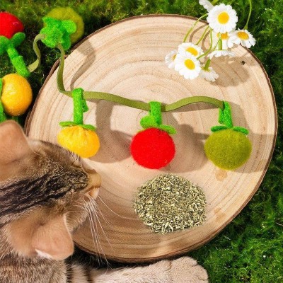 Little Tomato Cat Toy