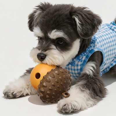 Dog Educational Treat Dispenser Toy