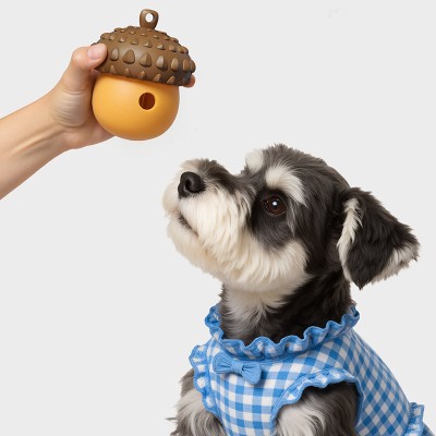 Dog Educational Treat Dispenser Toy