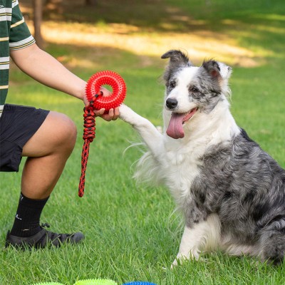 Spiky Rope Knot Pet Toy