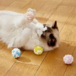 Cat Plush Bouncy Ball