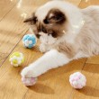 Cat Plush Bouncy Ball