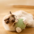 Sisal Ball Cat Toy