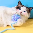 Knitted Yarn Ball Cat Toy