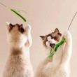 Artificial Foxtail Grass Cat Toy