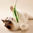 Artificial Foxtail Grass Cat Toy