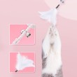 Bell and Feather Cat Teasing Set