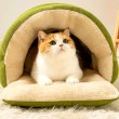 Removable and Washable Thickened Cat Bed