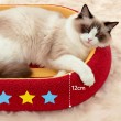 All-in-One Cat Scratching Board and Cat Bed