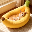Banana Shaped Dog Bed
