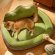 Taller & Thicker Comfortable Dog Bed
