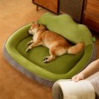 Taller & Thicker Comfortable Dog Bed