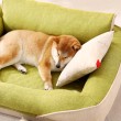 Detachable and Washable Large Dog Pet Bed