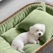 Oval Flannel Dog Bed