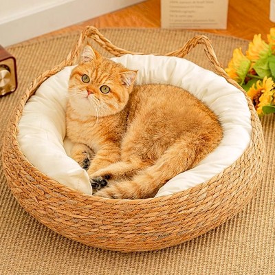 All Season Rattan Cat Bed