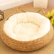 All Season Rattan Cat Bed